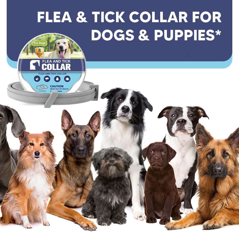 Flea Collar for Dogs, Adjustable Flea and Tick Collar for Large Dogs, 8 Months Protection 2 Count - 7