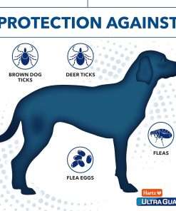 Hartz UltraGuard Dual Action Flea & Tick Topical Dog Treatment and Flea and Tick Prevention, 6 Months, 5-14 Pound Dogs 6-count - 4