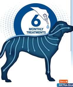 Hartz UltraGuard Dual Action Flea & Tick Topical Dog Treatment and Flea and Tick Prevention, 6 Months, 5-14 Pound Dogs 6-count - 5