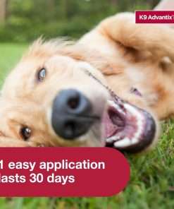K9 Advantix II Large Dog Vet-Recommended Flea, Tick & Mosquito Treatment & Prevention - Dogs 21 - 55 lbs. - 4-Mo Supply - 6