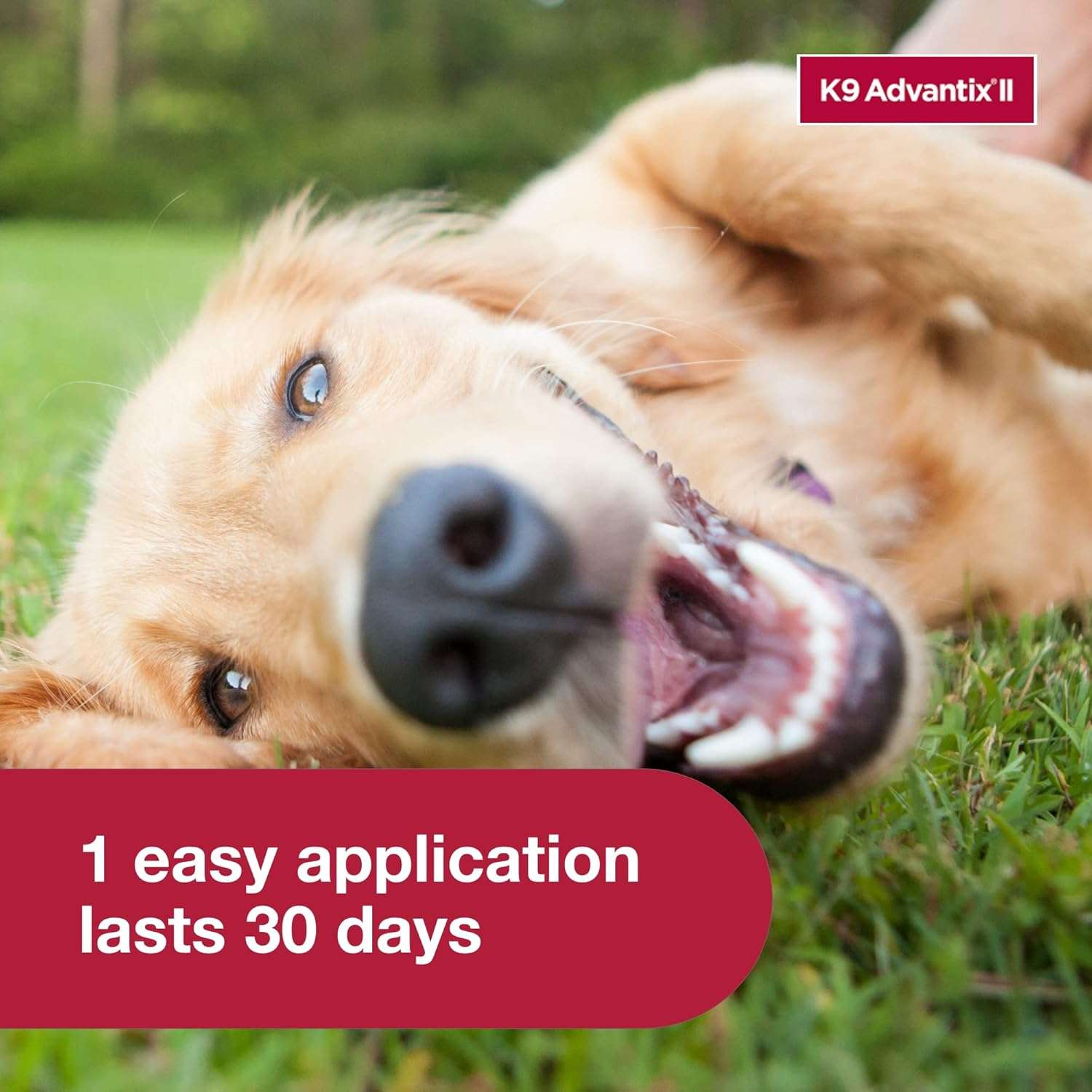 K9 Advantix II Large Dog Vet-Recommended Flea, Tick & Mosquito Treatment & Prevention - Dogs 21 - 55 lbs. - 4-Mo Supply - 6