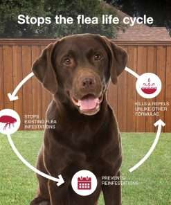 K9 Advantix II Large Dog Vet-Recommended Flea, Tick & Mosquito Treatment & Prevention - Dogs 21 - 55 lbs. - 4-Mo Supply - 7