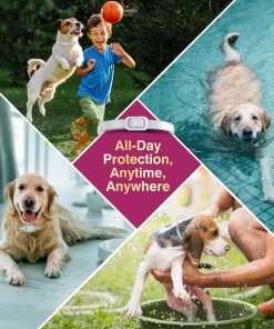 Natural Flea and Tick Collar for Dogs - 4 Pack, 8 Months Long-Lasting Protection, Waterproof, Adjustable Size for Small Medium and Large Dog - 4