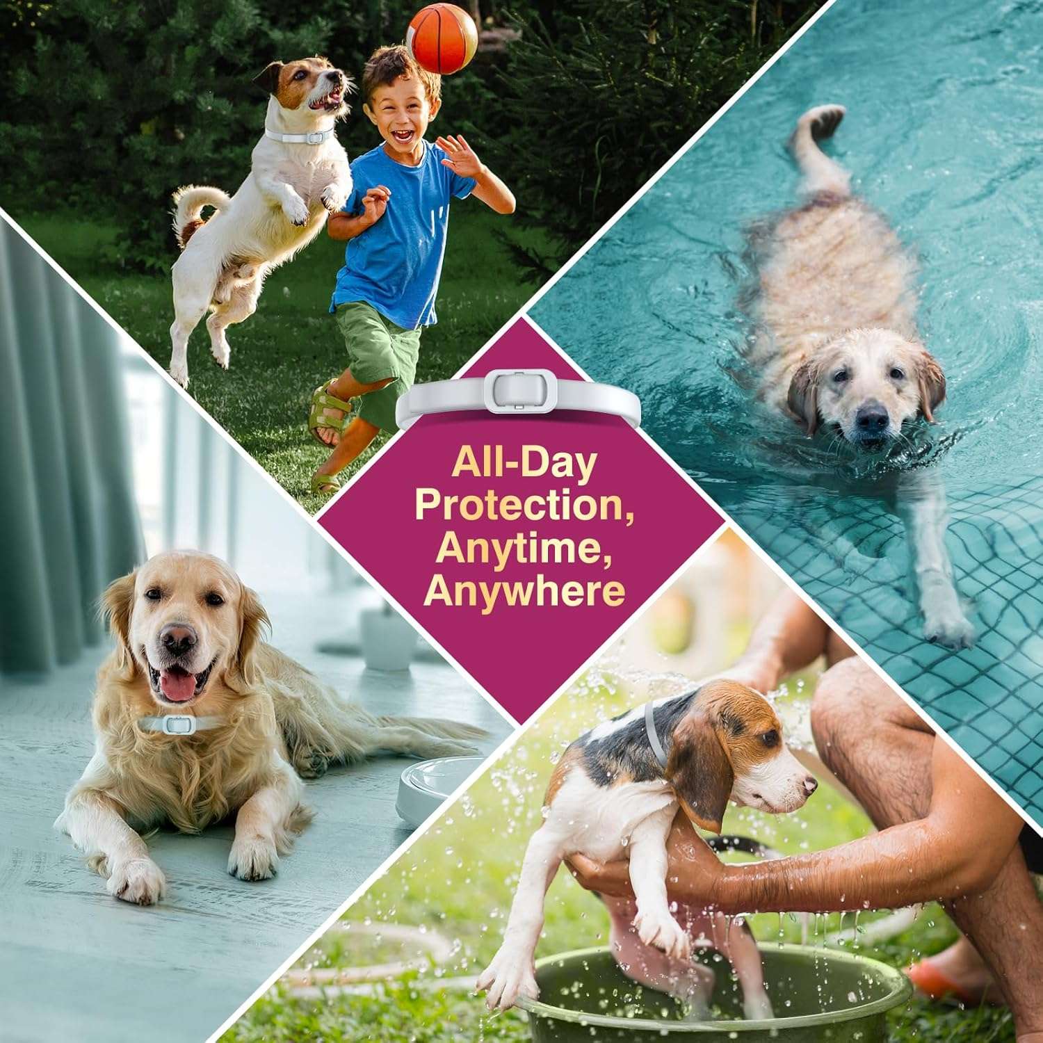 Natural Flea and Tick Collar for Dogs - 4 Pack, 8 Months Long-Lasting Protection, Waterproof, Adjustable Size for Small Medium and Large Dog - 4