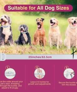 Natural Flea and Tick Collar for Dogs - 4 Pack, 8 Months Long-Lasting Protection, Waterproof, Adjustable Size for Small Medium and Large Dog - 5