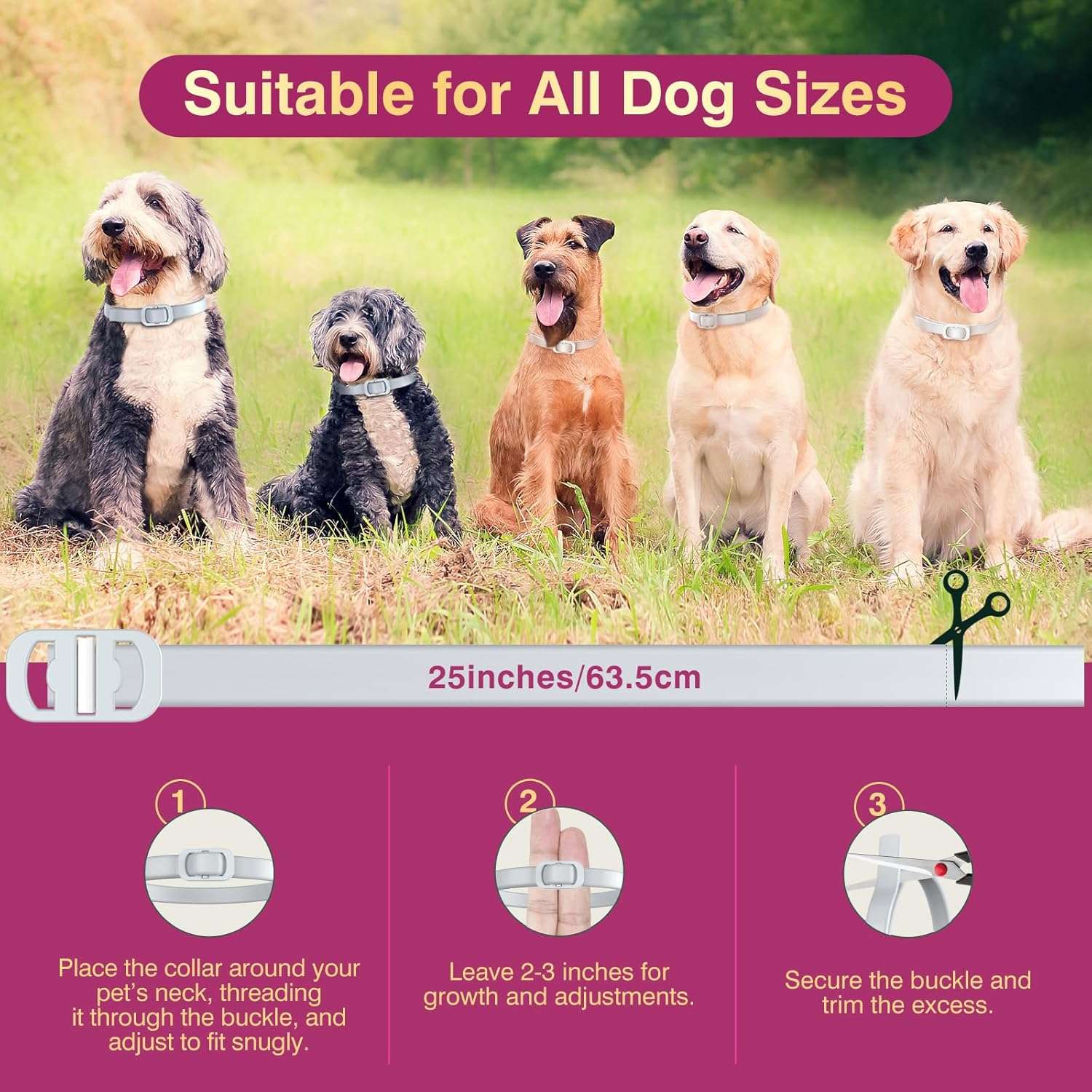 Natural Flea and Tick Collar for Dogs - 4 Pack, 8 Months Long-Lasting Protection, Waterproof, Adjustable Size for Small Medium and Large Dog - 5