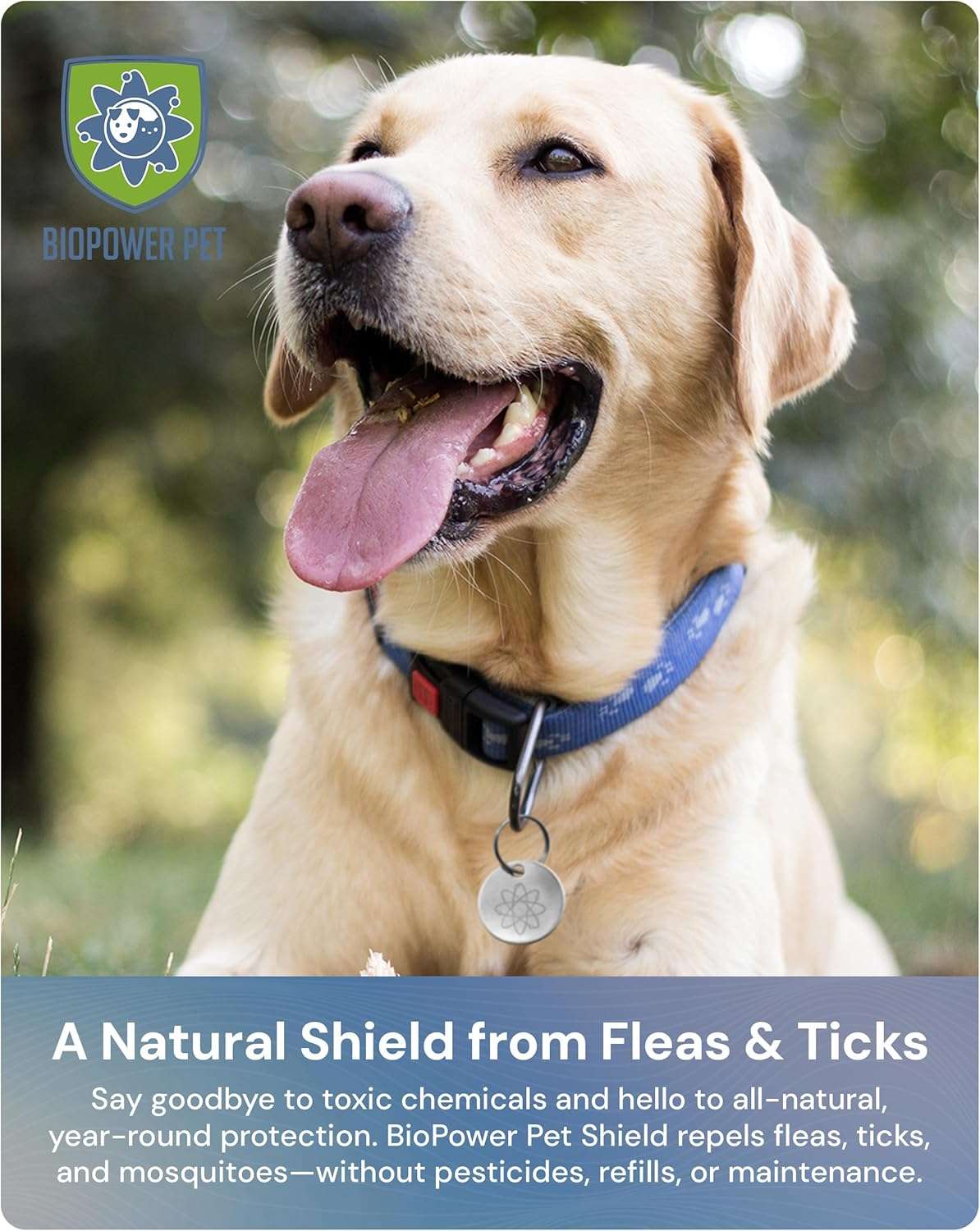 Natural Flea & Tick Repellent Collar Tag for Dogs & Cats – BioPower Pet Shield – Safe for Pets When Used as Directed – Lasts 1 Full Year - Regular Tag - 2