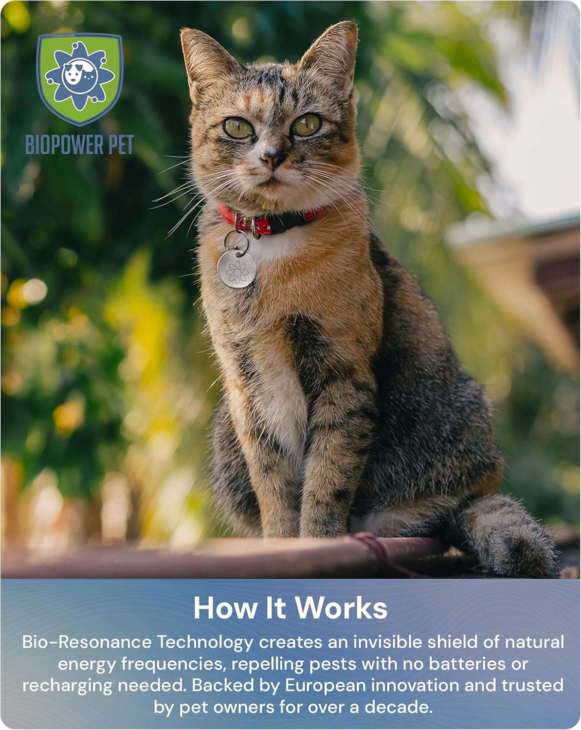 Natural Flea & Tick Repellent Collar Tag for Dogs & Cats – BioPower Pet Shield – Safe for Pets When Used as Directed – Lasts 1 Full Year - Regular Tag - 4