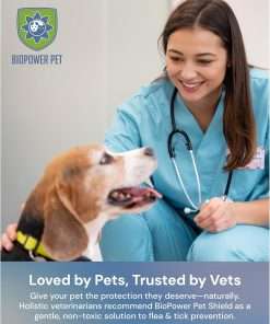 Natural Flea & Tick Repellent Collar Tag for Dogs & Cats – BioPower Pet Shield – Safe for Pets When Used as Directed – Lasts 1 Full Year - Regular Tag - 5