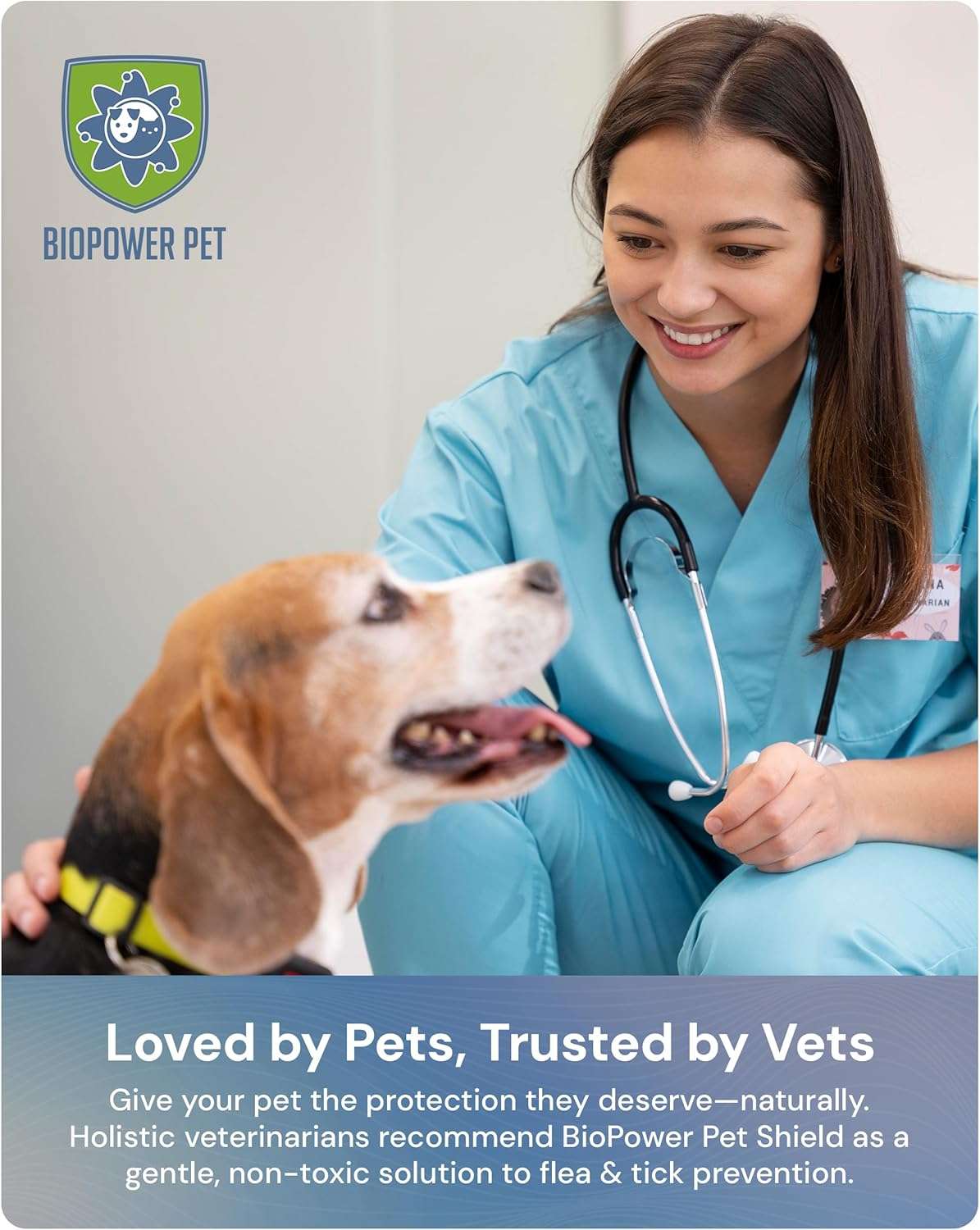 Natural Flea & Tick Repellent Collar Tag for Dogs & Cats – BioPower Pet Shield – Safe for Pets When Used as Directed – Lasts 1 Full Year - Regular Tag - 5