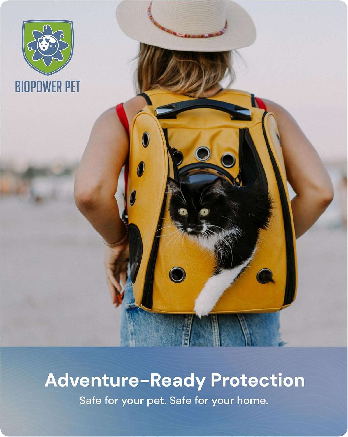 Natural Flea & Tick Repellent Collar Tag for Dogs & Cats – BioPower Pet Shield – Safe for Pets When Used as Directed – Lasts 1 Full Year - Regular Tag - 6