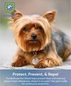 Natural Flea & Tick Repellent Collar Tag for Dogs & Cats – BioPower Pet Shield – Safe for Pets When Used as Directed – Lasts 1 Full Year - Regular Tag - 7
