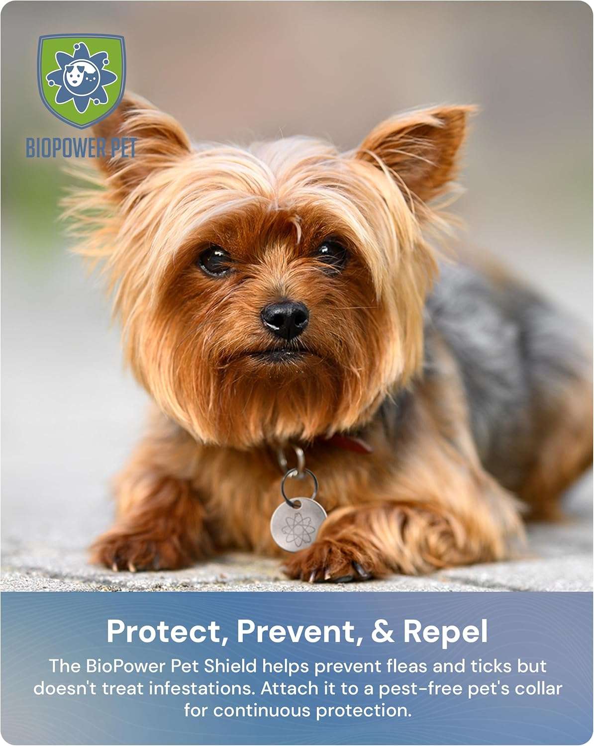 Natural Flea & Tick Repellent Collar Tag for Dogs & Cats – BioPower Pet Shield – Safe for Pets When Used as Directed – Lasts 1 Full Year - Regular Tag - 7