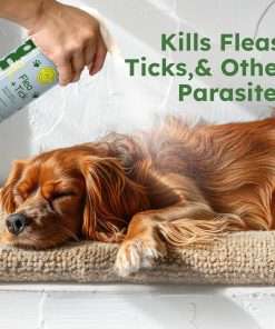 BugMD Flea and Tick Concentrate - Essential Oil-Powered Formula, Controls Fleas, Ticks, Mites in Dogs and Other Furred Animals, Spray on Pet Beds, Kennels - 6