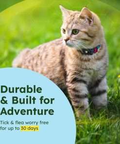 BugMD Paw Guardian Flea and Tick Prevention Pendant for Dogs & Cats with AirTag Holder - Plant-Powered Flea & Tick Control for Dog Collars & Cat Harnesses - Cat and Dog Tag with Air Tag Holder - 5