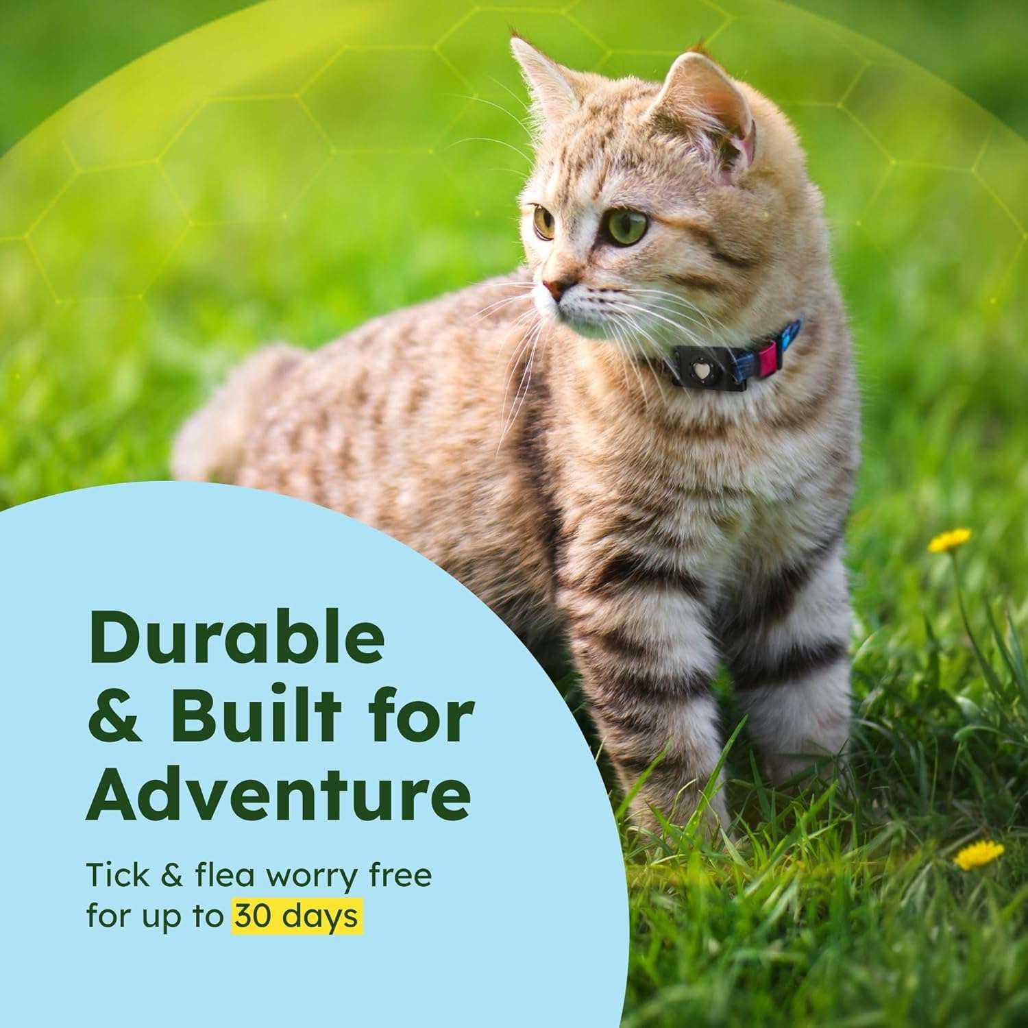 BugMD Paw Guardian Flea and Tick Prevention Pendant for Dogs & Cats with AirTag Holder - Plant-Powered Flea & Tick Control for Dog Collars & Cat Harnesses - Cat and Dog Tag with Air Tag Holder - 5