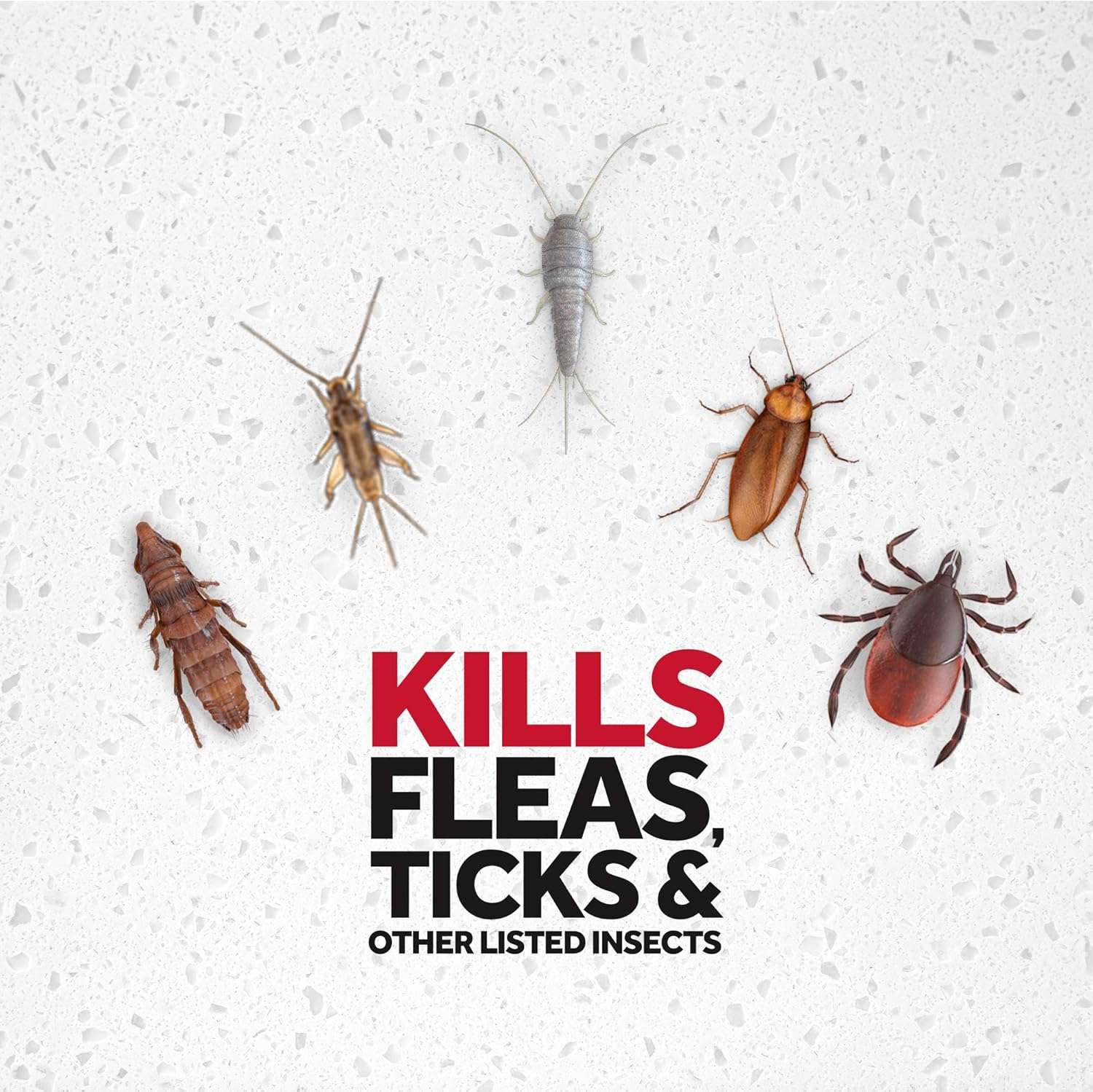 Raid Flea Killer, Kills Fleas, Crickets, Roaches, Silverfish and Ticks, Use in Your Home or on Your Dog (1 Pound (Pack of 6)) - 3