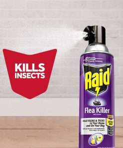 Raid Flea Killer, Kills Fleas, Crickets, Roaches, Silverfish and Ticks, Use in Your Home or on Your Dog (1 Pound (Pack of 6)) - 4
