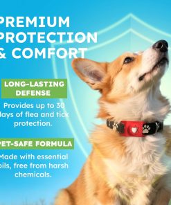 BugMD Paw Guardian Refill, Plant-Powered Flea & Tick Protection Tablets, 3 Count, 30-Day Protection, Natural Essential Oil Formula - 3