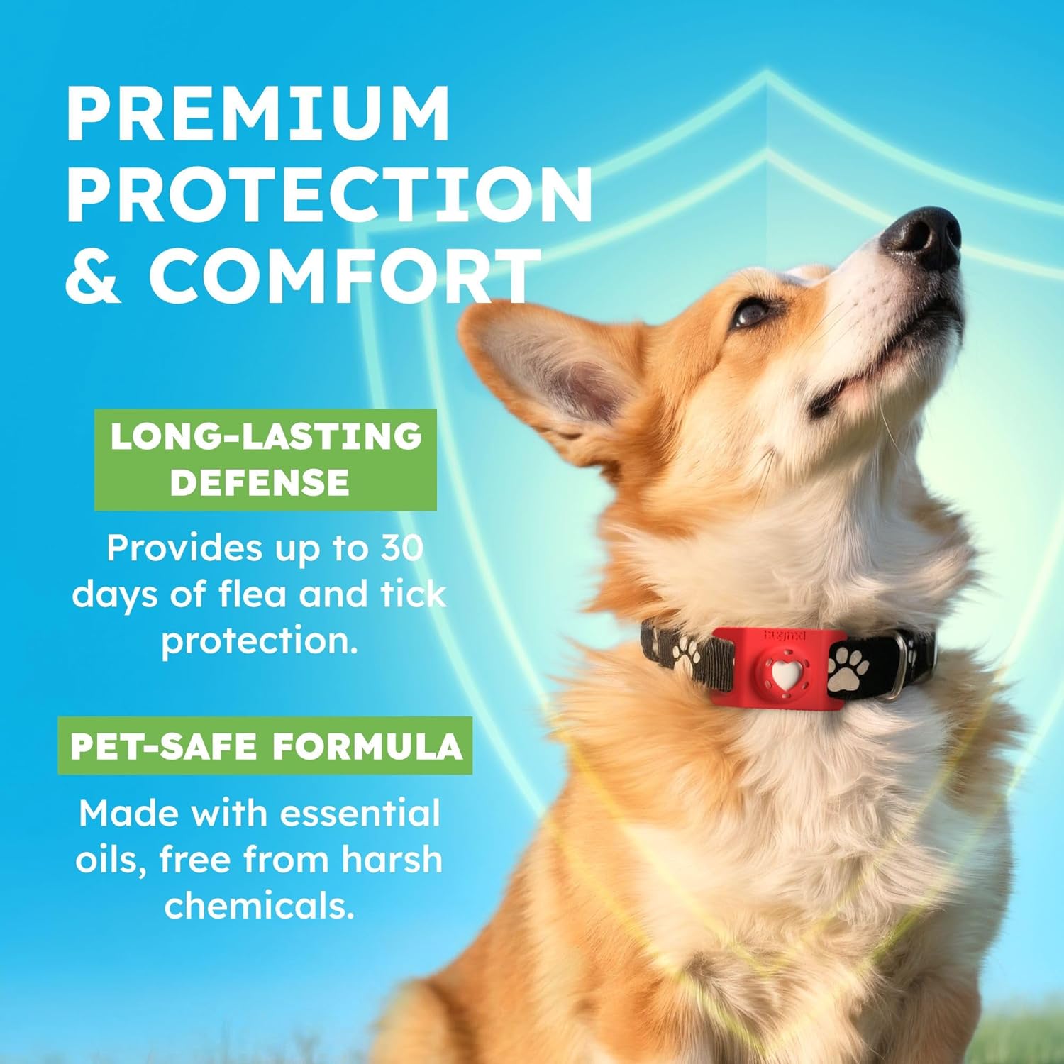 BugMD Paw Guardian Refill, Plant-Powered Flea & Tick Protection Tablets, 3 Count, 30-Day Protection, Natural Essential Oil Formula - 3