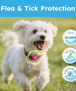 BugMD Paw Guardian Refill, Plant-Powered Flea & Tick Protection Tablets, 3 Count, 30-Day Protection, Natural Essential Oil Formula - 5