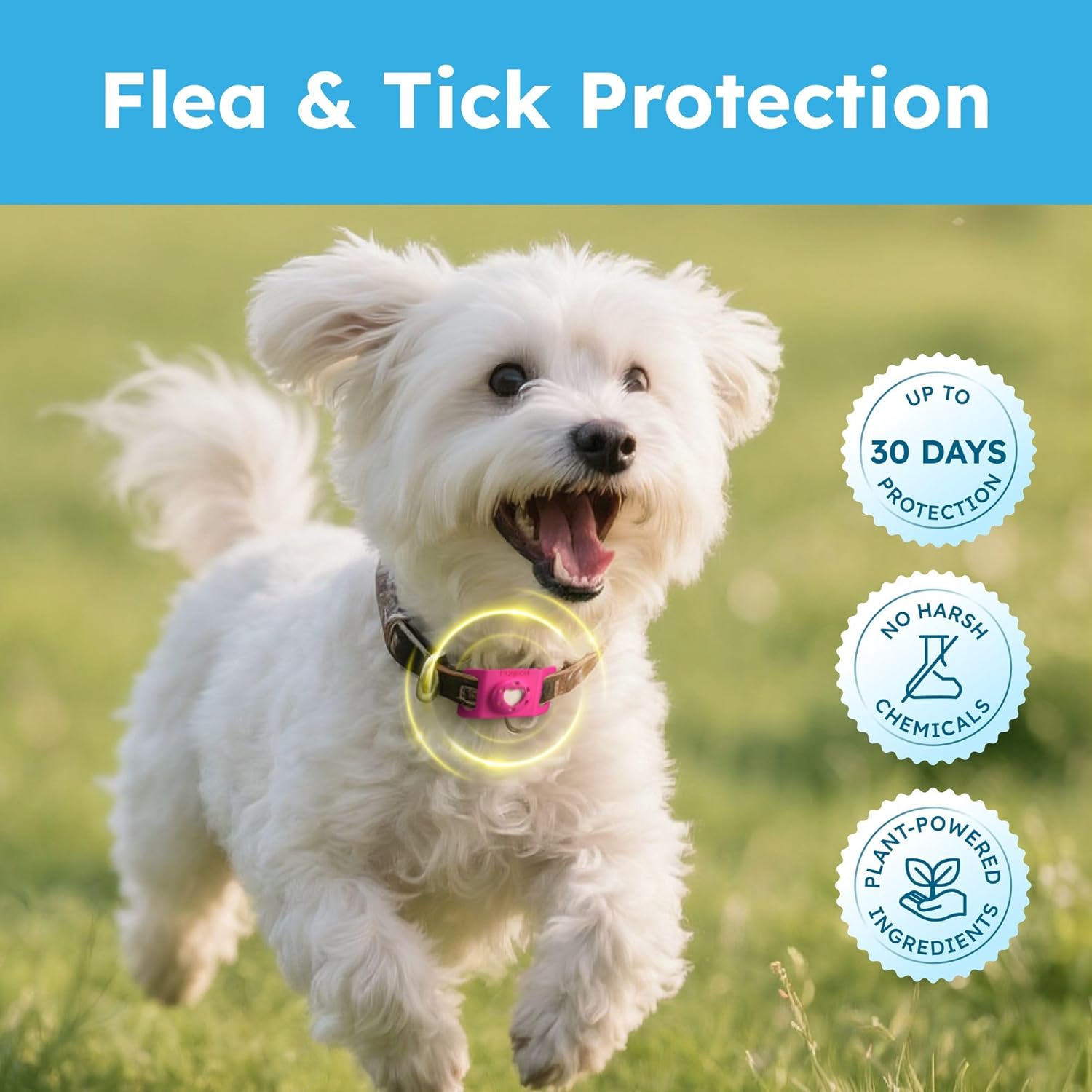 BugMD Paw Guardian Refill, Plant-Powered Flea & Tick Protection Tablets, 3 Count, 30-Day Protection, Natural Essential Oil Formula - 5
