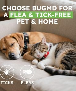 Shoo Tag For Dogs, Shoo Tag For Dogs