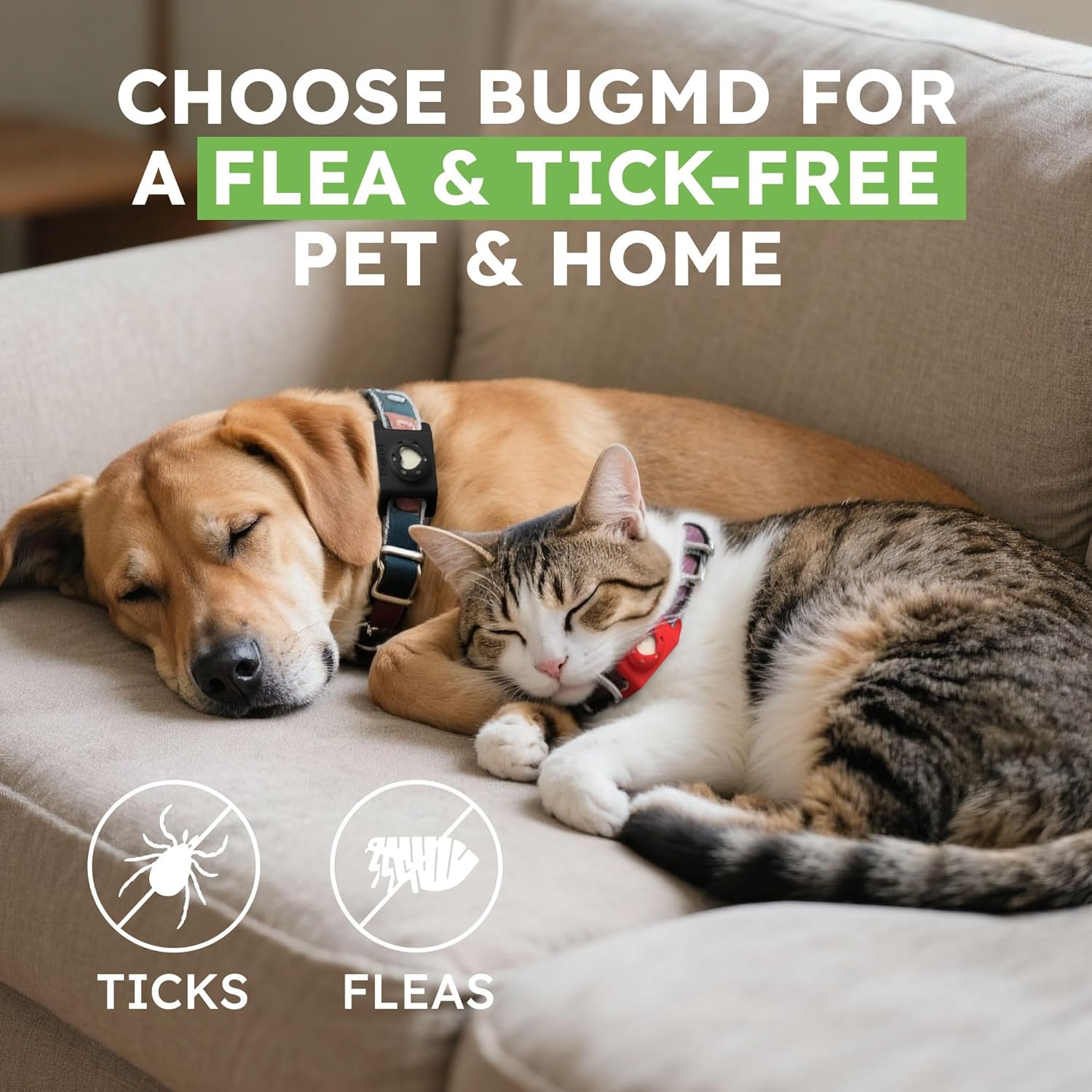 BugMD Paw Guardian Refill, Plant-Powered Flea & Tick Protection Tablets, 3 Count, 30-Day Protection, Natural Essential Oil Formula - 6