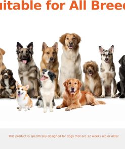 Shoo Tag For Dogs, Shoo Tag For Dogs