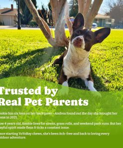 Flea and Tick Prevention for Dogs Chewable - 170 Soft Chews, Duck & Pear Flavor, Beef & Carrot Flavor - 3