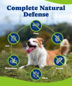 Flea and Tick Prevention for Dogs Chewable - 170 Soft Chews, Duck & Pear Flavor, Beef & Carrot Flavor - 7