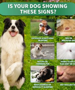 Flea and Tick Prevention for Dogs Chews – 200 Soft Chews, Dog Flea Chewables with Skin & Coat Support – Oral Supplement for All Breeds & Ages – Natural Duck Flavor - 4