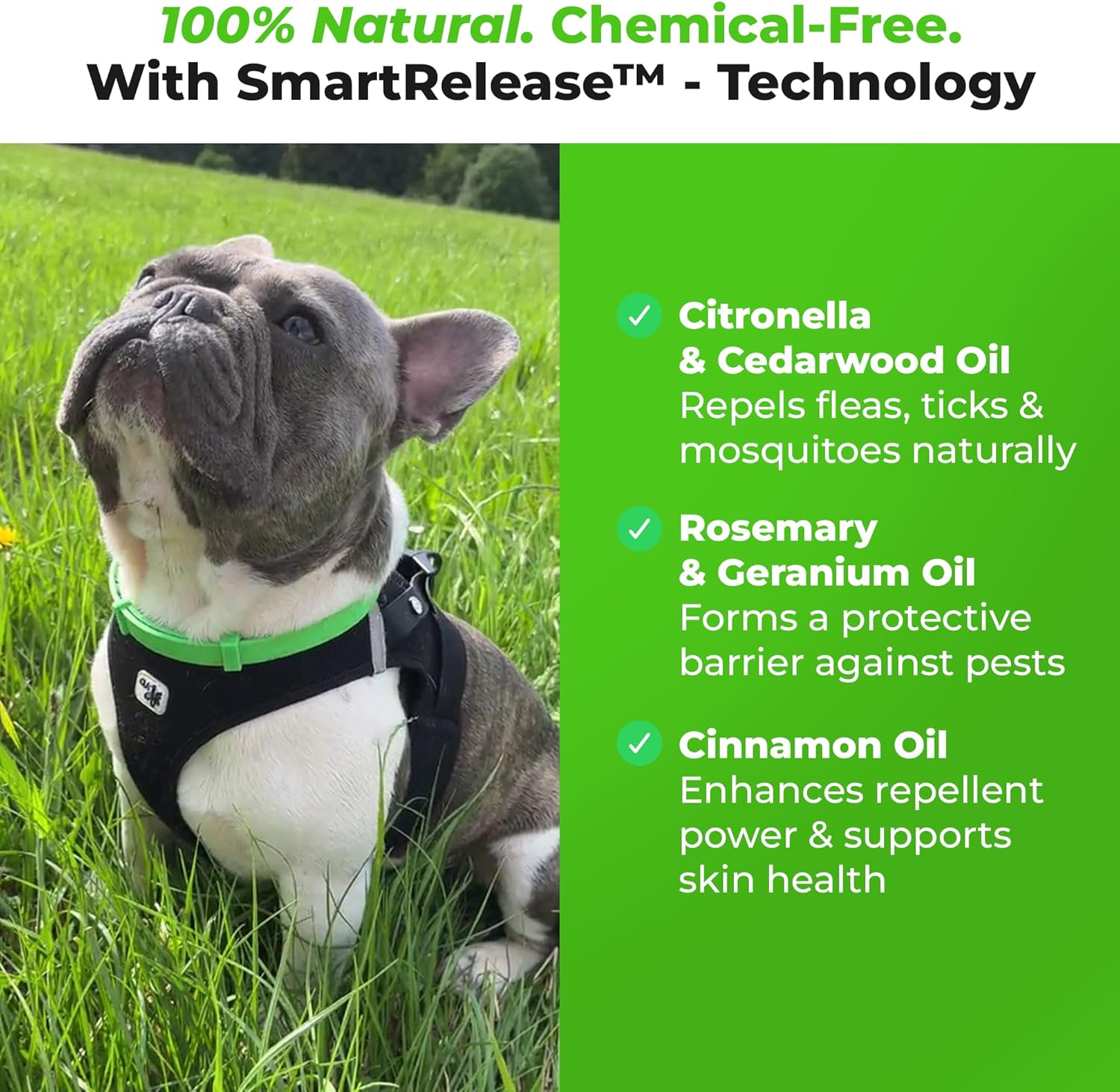 FurLife Flea and Tick Collar for Dogs – Waterproof Red Dog Collar, Pet Supplies for Tick and Flea Prevention for Dogs, Safe for All Breeds - 4