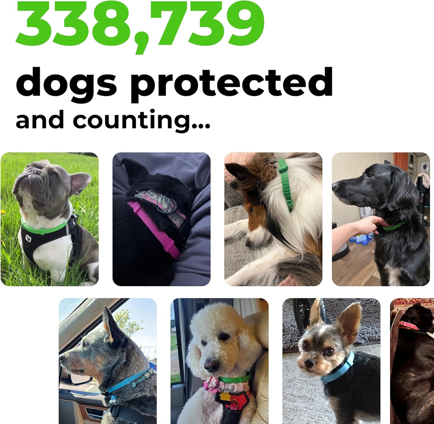 FurLife Flea and Tick Collar for Dogs – Waterproof Red Dog Collar, Pet Supplies for Tick and Flea Prevention for Dogs, Safe for All Breeds - 6