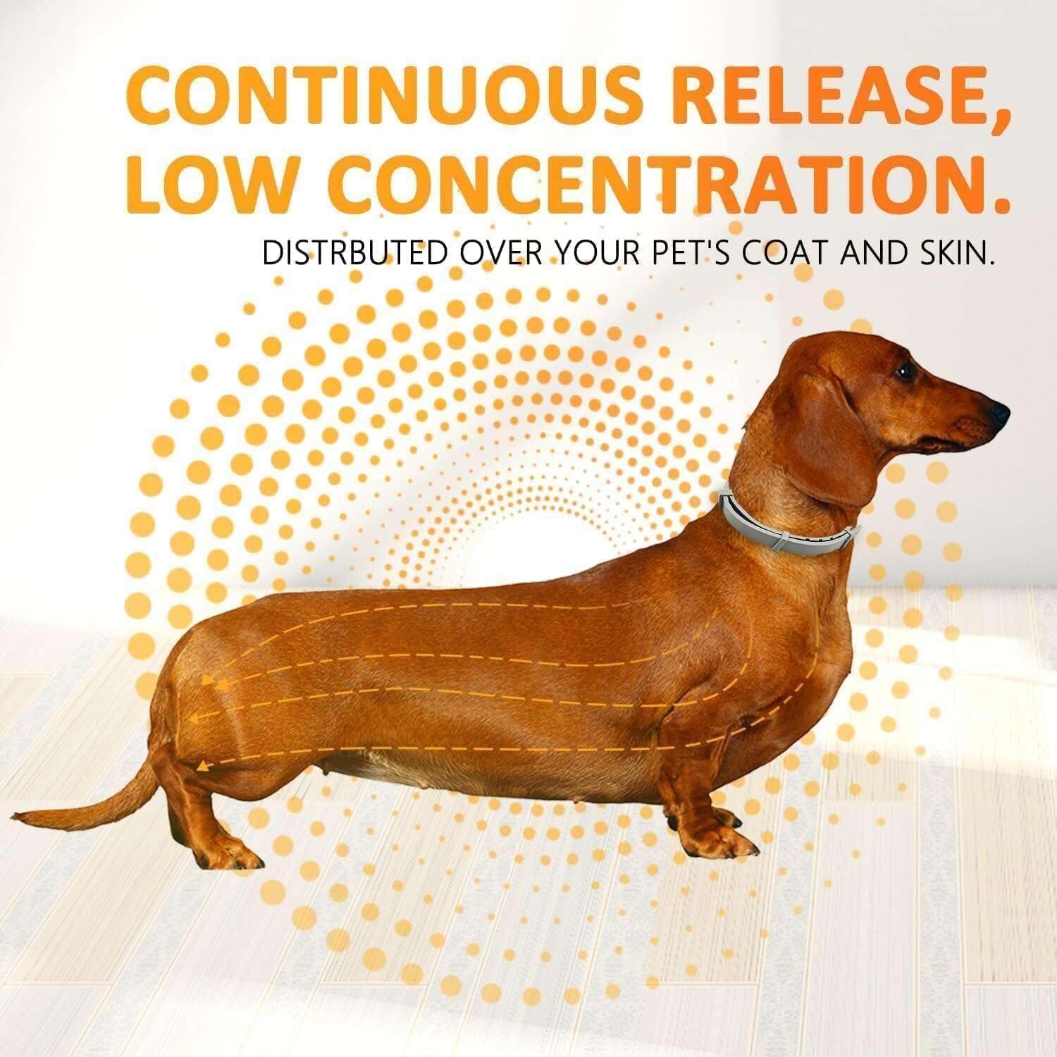 Flea Collars for Dogs, Dog Flea & Tick Control Flea Collar 8 Months Protection, Waterproof Dog Flea Collar, Flea Prevention for Dogs with Comb - 2