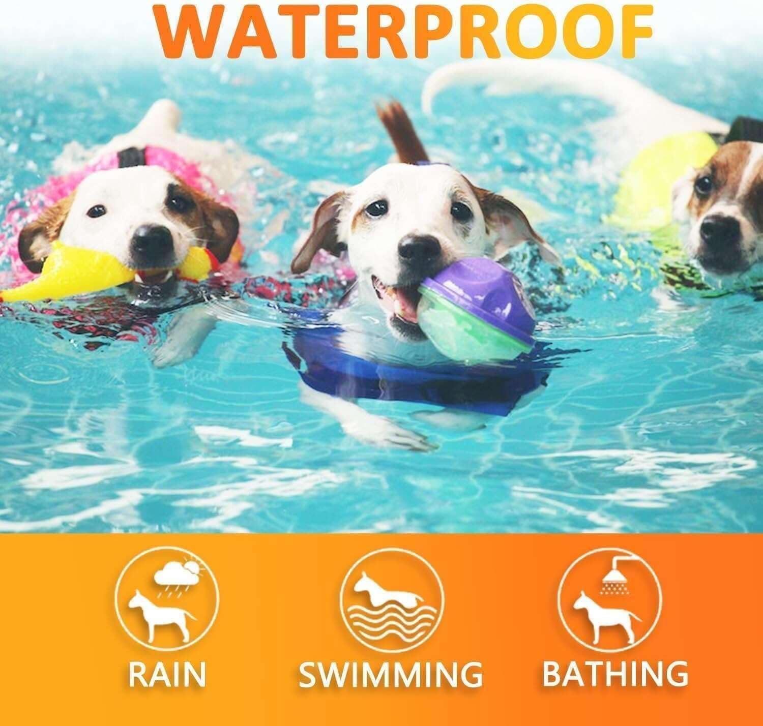 Flea Collars for Dogs, Dog Flea & Tick Control Flea Collar 8 Months Protection, Waterproof Dog Flea Collar, Flea Prevention for Dogs with Comb - 4