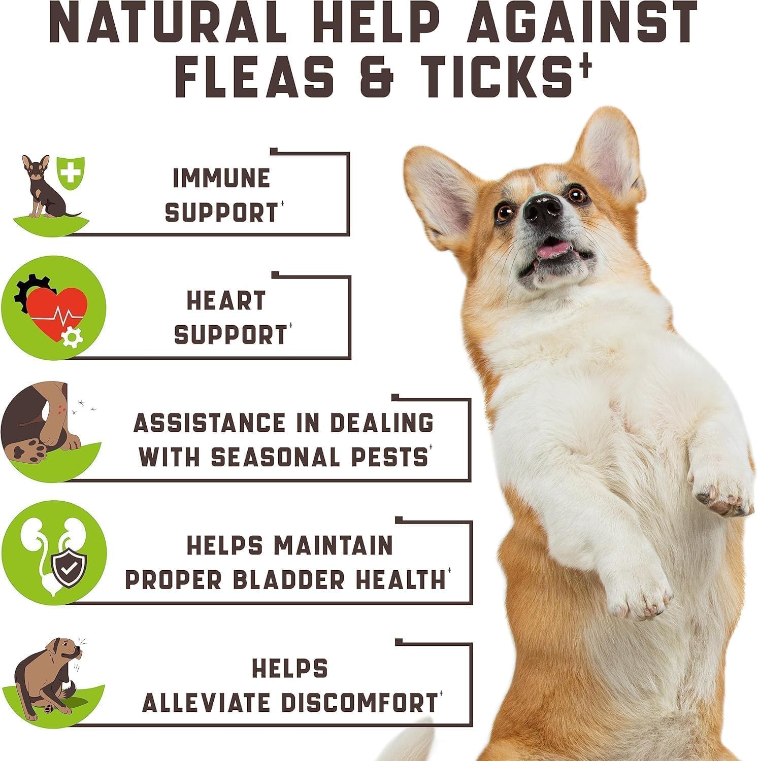 Flea & Tick Chewables for Dogs – Duck Flavored – 180 Soft Chews – Mess-Free Support – for All Breeds and Sizes - 4