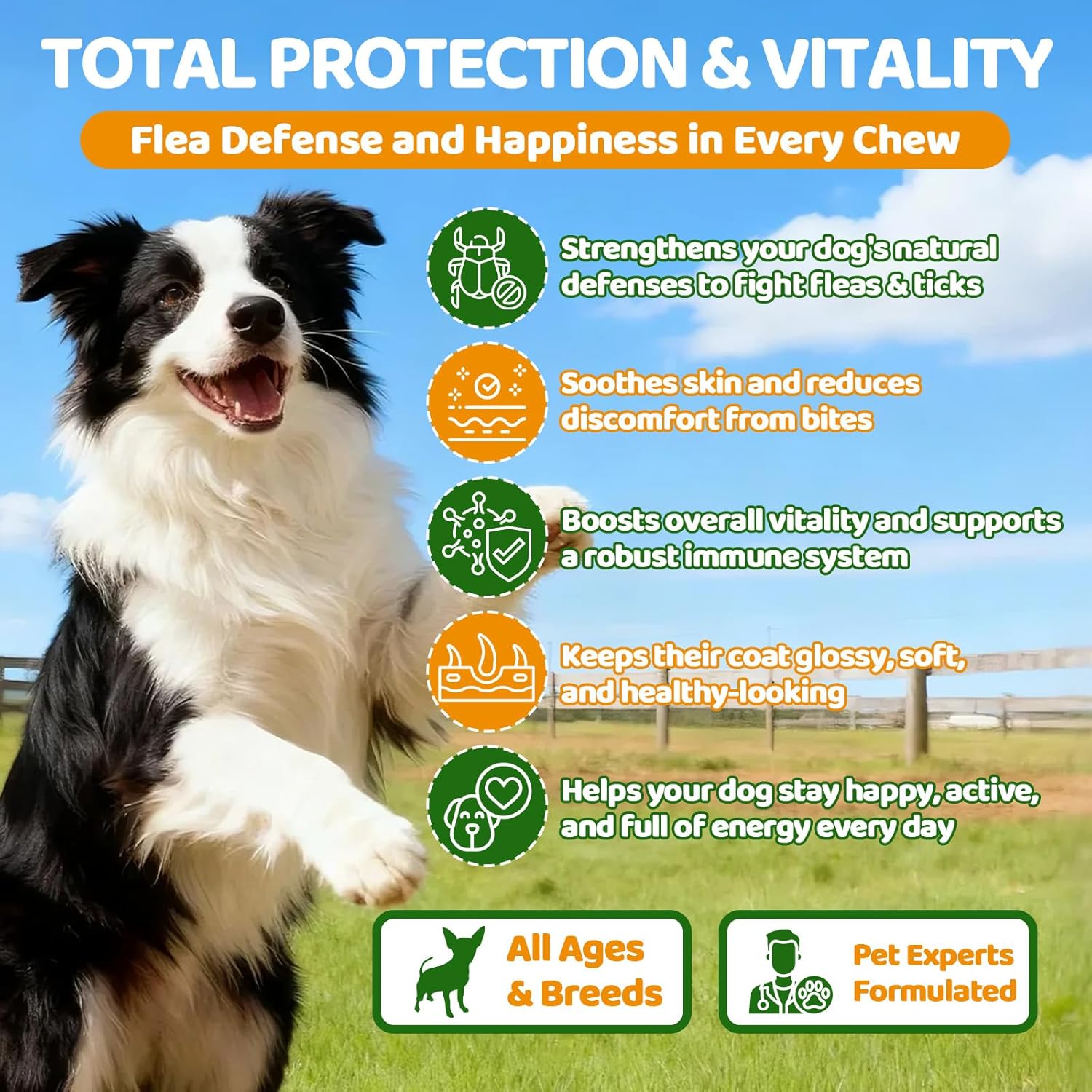 Flea and Tick Prevention for Dogs Chewables, 500 Crunchy & Savory Dog Flea and Tick Treatment with Multivitamins - Support Skin & Coat - Tasty Treats for All Breeds & Ages - Chicken and Krill Flavor - 2
