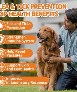 Flea and Tick Prevention for Dogs Chewables - Natural Dog Flea and Tick Treatment Chewable - Oral Flea Supplement for Dogs - Puppy Flea Support - All Breeds & Ages - 60 Soft Chews - 2