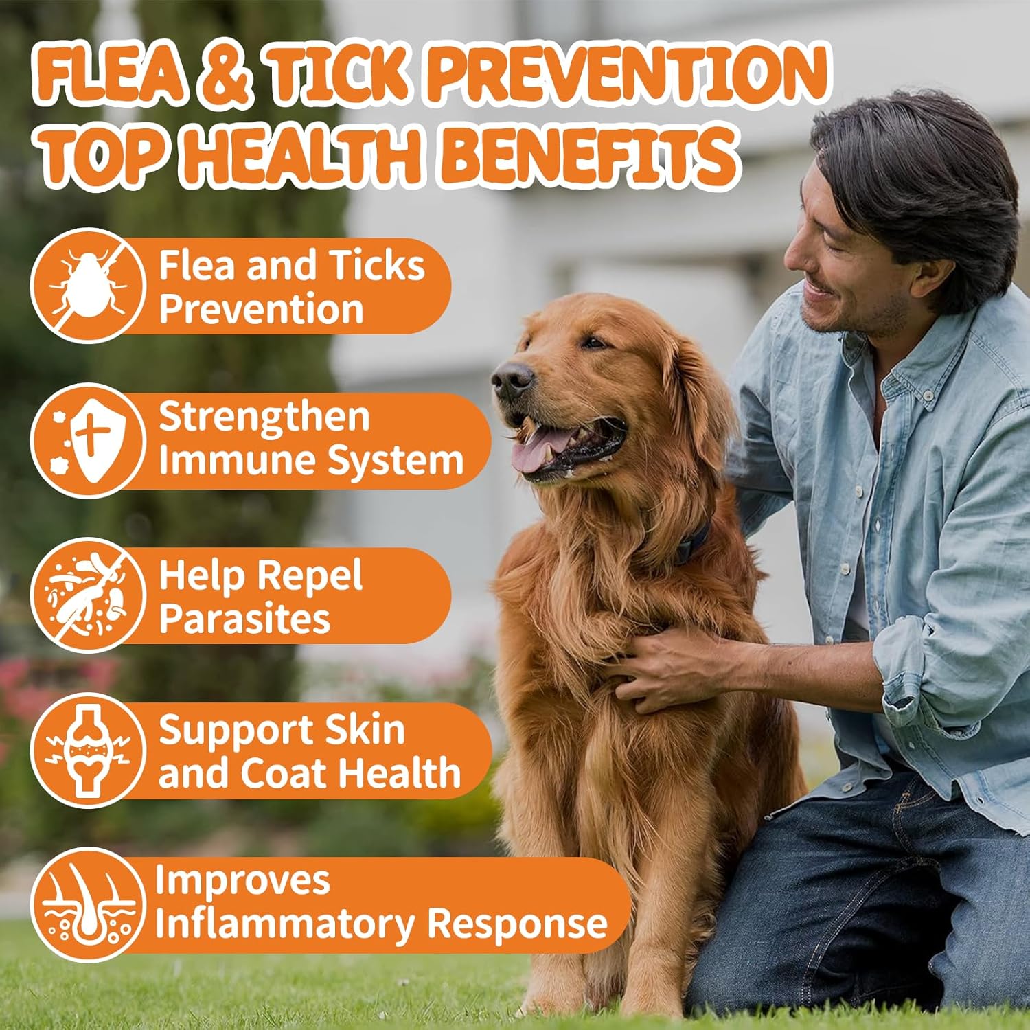 Flea and Tick Prevention for Dogs Chewables - Natural Dog Flea and Tick Treatment Chewable - Oral Flea Supplement for Dogs - Puppy Flea Support - All Breeds & Ages - 60 Soft Chews - 2