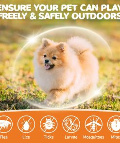 Flea and Tick Prevention for Dogs Chewables - Natural Dog Flea and Tick Treatment Chewable - Oral Flea Supplement for Dogs - Puppy Flea Support - All Breeds & Ages - 60 Soft Chews - 3