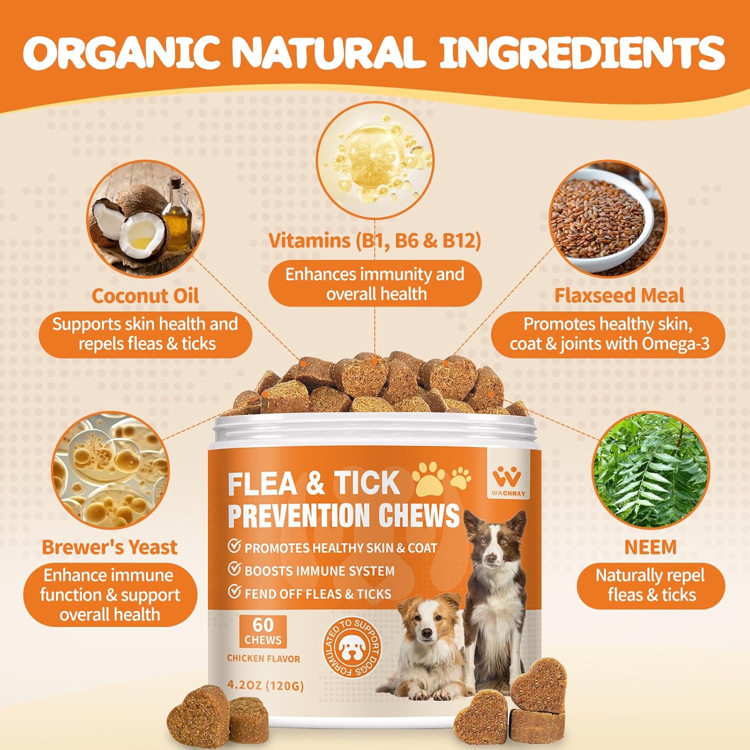 Flea and Tick Prevention for Dogs Chewables - Natural Dog Flea and Tick Treatment Chewable - Oral Flea Supplement for Dogs - Puppy Flea Support - All Breeds & Ages - 60 Soft Chews - 4