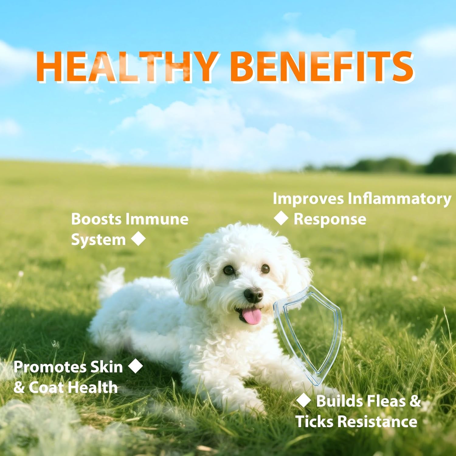 Flea and Tick Prevention for Dogs Chewables, Natural Dog Flea and Tick Treatment Chewable Supplement, 60 Chews (Pack of 1) - 2