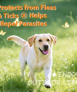 Flea and Tick Prevention for Dogs Chewables, Natural Dog Flea and Tick Treatment Chewable Supplement, 60 Chews (Pack of 1) - 3