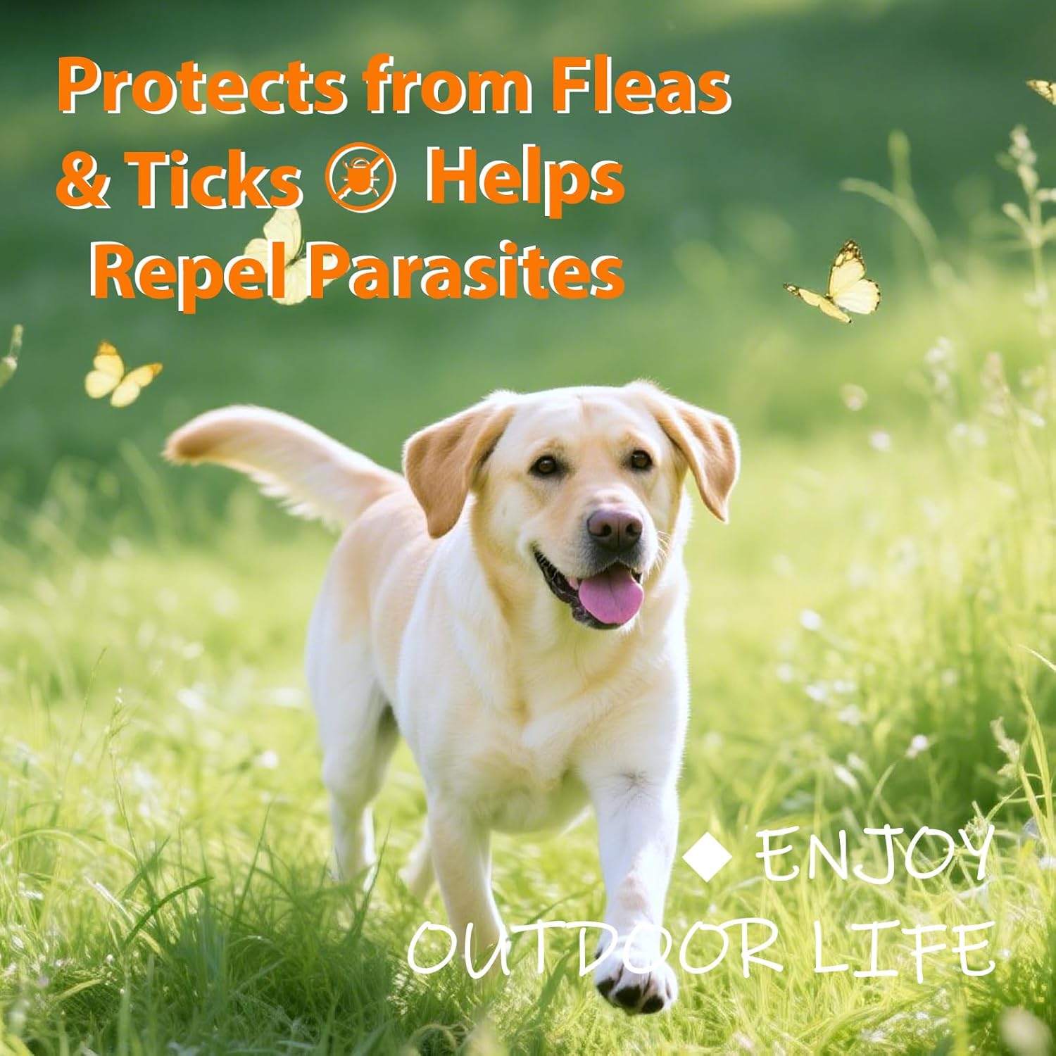 Flea and Tick Prevention for Dogs Chewables, Natural Dog Flea and Tick Treatment Chewable Supplement, Liver Flavor - 3