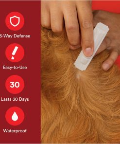 Advecta Ultra Flea and Tick Prevention for Dogs - Large Dog Flea and Tick Treatment & Control - Mosquito Repellent - Fast Acting Waterproof Topical Drops, 4 Month Supply - 6