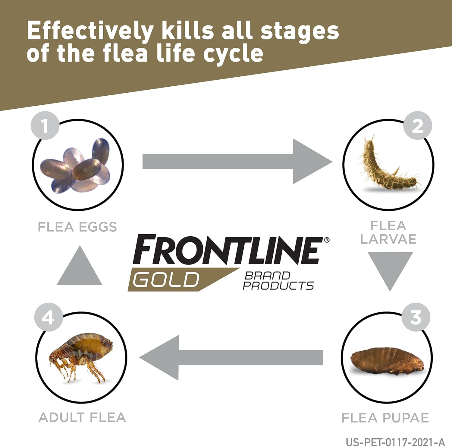 FRONTLINE Gold Flea & Tick Treatment for Small Dogs Up to 5 to 22 lbs., Pack of 3 - 6