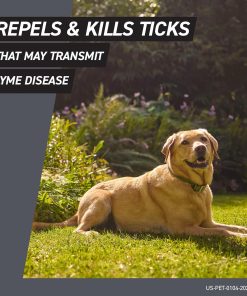 FRONTLINE Shield Flea & Tick Treatment for Large Dogs 41-80 lbs. Count of 3 - 5