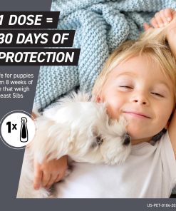 FRONTLINE Shield Flea & Tick Treatment for Large Dogs 41-80 lbs. Count of 3 - 6