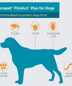 FirstAct Plus Flea Treatment for Dogs, Large Dogs 45-88 lbs, 6 Doses, Same Active Ingredients as Frontline Plus Flea and Tick Prevention for Dogs - 4